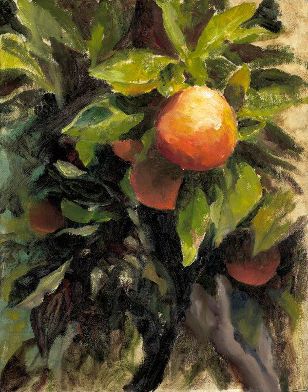 14 Fruit for Thought 11x14